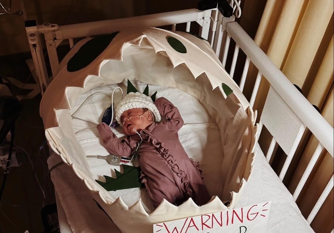 Mission Hospital NICU babies dressed up for Halloween