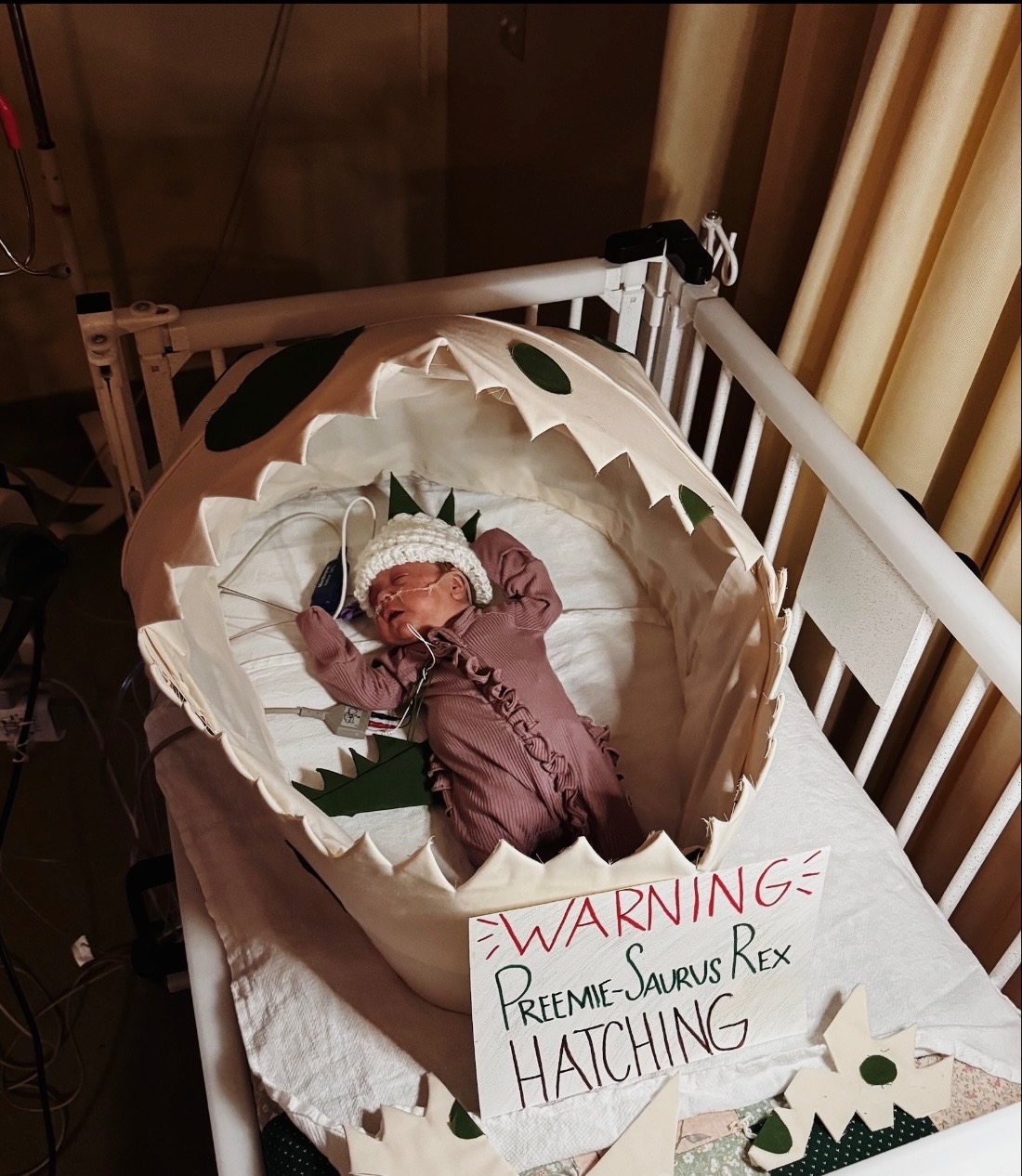 Mission Hospital NICU babies dressed up for Halloween