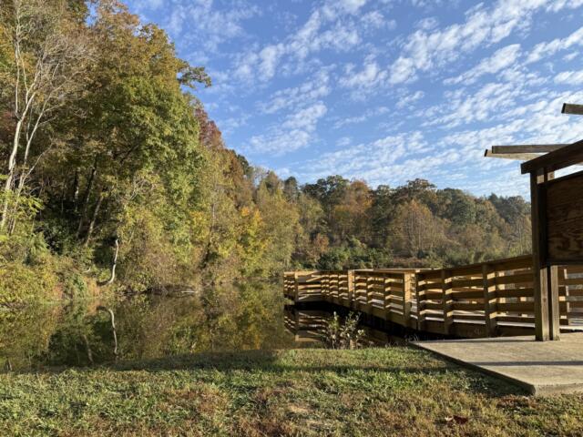 A wooden viewing dock overlooks Azalea Pond at Asheville's Azalea Park, where the city's first AVL Unpaved natural-surface trail has opened. The 3,600-foot trail is available for hiking, running and mountain biking.