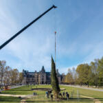 Crews work to install new trees on the front lawn of the Biltmore Estate on Oct. 26.