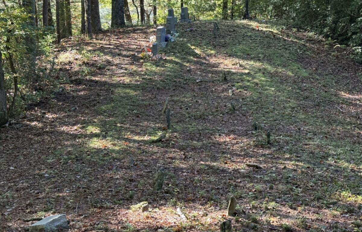 Fieldstones mark some of the older graves in the Ledbetter-Gilliam Family Cemetery, a small family burial ground on a hillside above the Broad River community in Buncombe County.