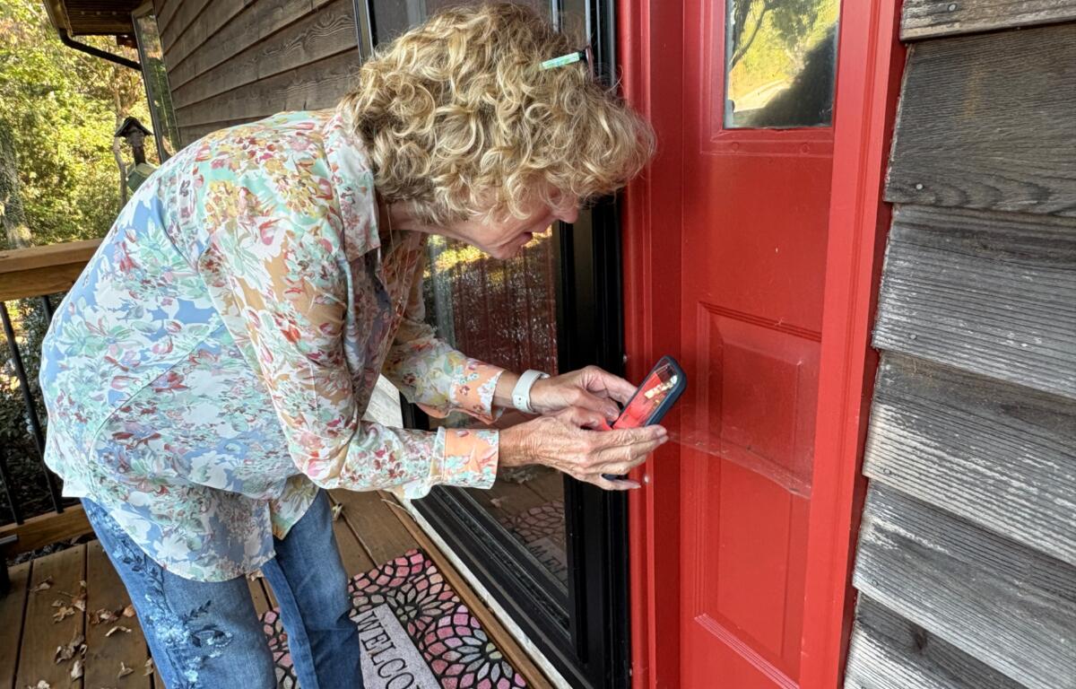 Tiffany Hall has recruited friends and neighbors to help document spiders for a statewide citizen science project