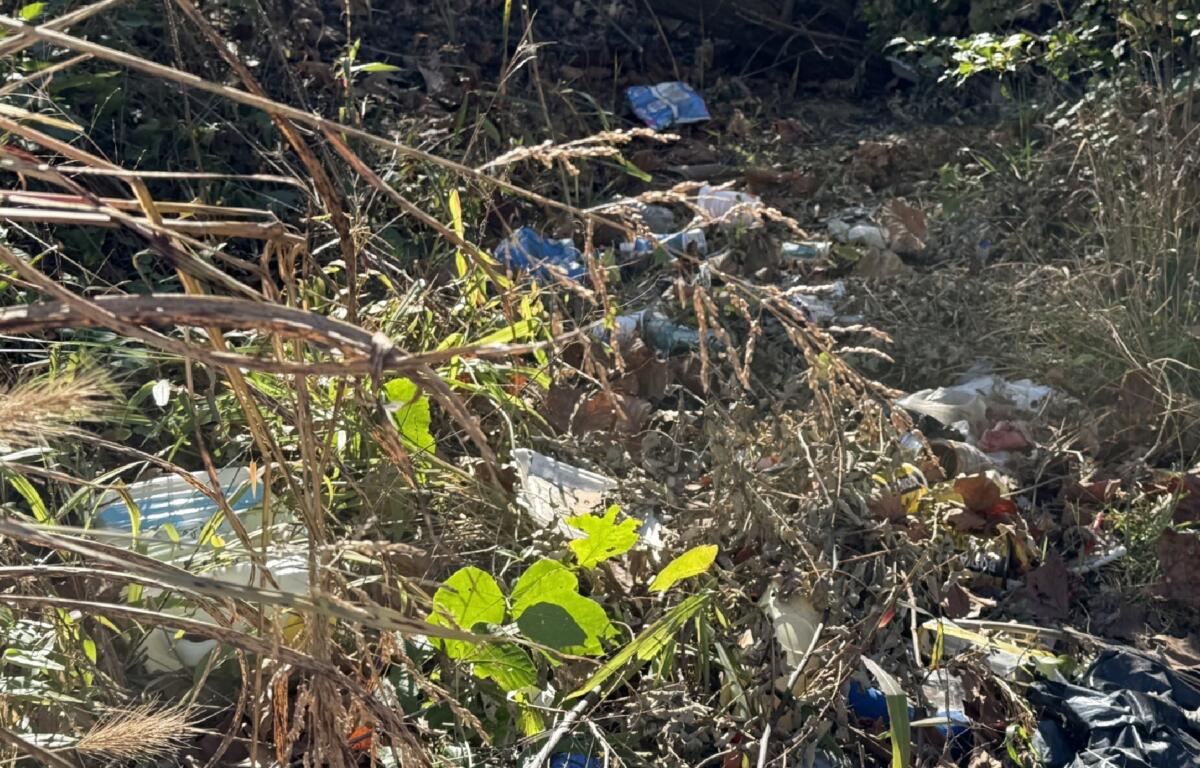 Trash and discarded belongings remain in a wooded area off Emma Road in West Asheville where a homeless encampment was previously located. Residents have raised concerns about trash, encampments and neighborhood conditions as city officials describe repeated cleanup and outreach efforts.