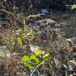 Trash and discarded belongings remain in a wooded area off Emma Road in West Asheville where a homeless encampment was previously located. Residents have raised concerns about trash, encampments and neighborhood conditions as city officials describe repeated cleanup and outreach efforts.