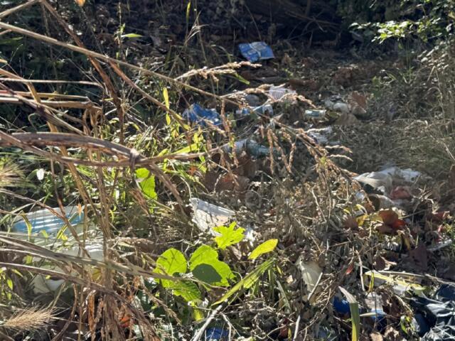 Trash and discarded belongings remain in a wooded area off Emma Road in West Asheville where a homeless encampment was previously located. Residents have raised concerns about trash, encampments and neighborhood conditions as city officials describe repeated cleanup and outreach efforts.