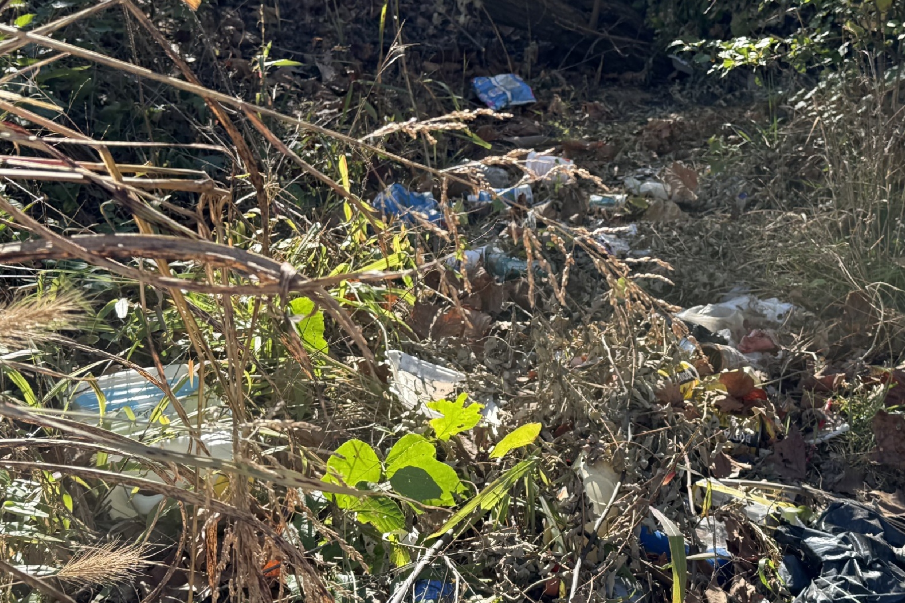 Trash and discarded belongings remain in a wooded area off Emma Road in West Asheville where a homeless encampment was previously located. Residents have raised concerns about trash, encampments and neighborhood conditions as city officials describe repeated cleanup and outreach efforts.