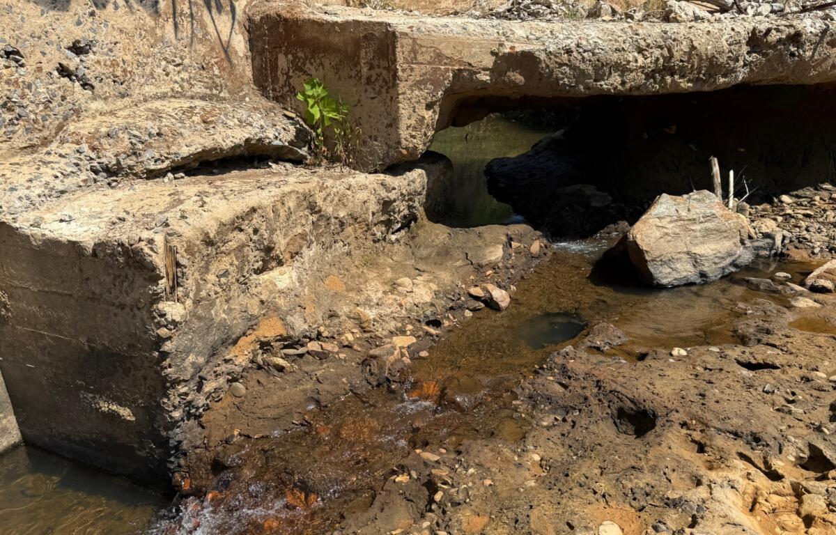 Water flows through a section of Lake Craig Dam damaged by Hurricane Helene. The opening has restored fish passage along the Swannanoa River, allowing some species to move upstream of the century-old barrier.