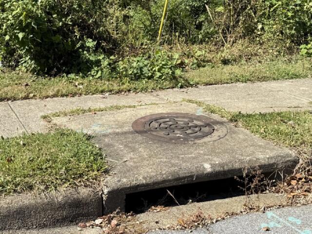 A storm drain along Congress Street near Choctaw Park in Asheville. The city is spending $900,000 on the first phase of a stormwater system assessment, beginning with the Nasty Branch watershed.