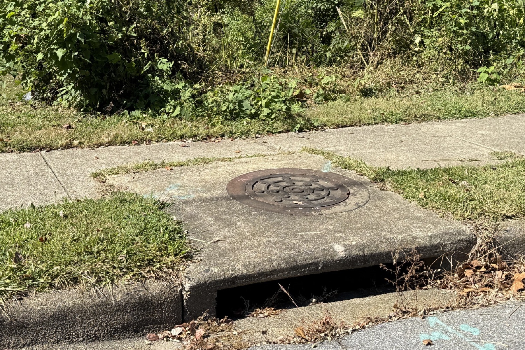 A storm drain along Congress Street near Choctaw Park in Asheville. The city is spending $900,000 on the first phase of a stormwater system assessment, beginning with the Nasty Branch watershed.