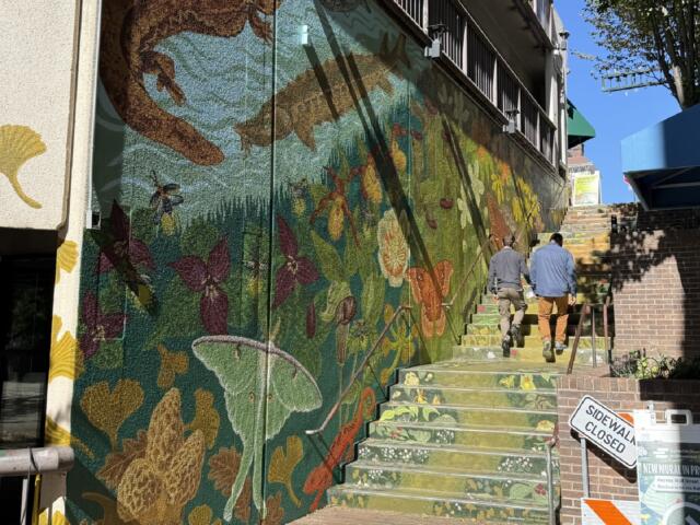 Two pedestrians walk up the colorful Wall Street steps in downtown Asheville, where artist Dayna Walton's "Meander" mural has been expanded onto the adjoining parking garage wall.